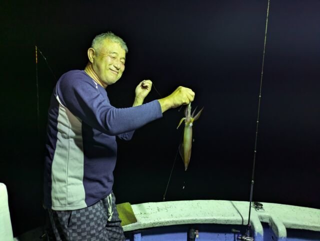 マイカ(ケンサキイカ)