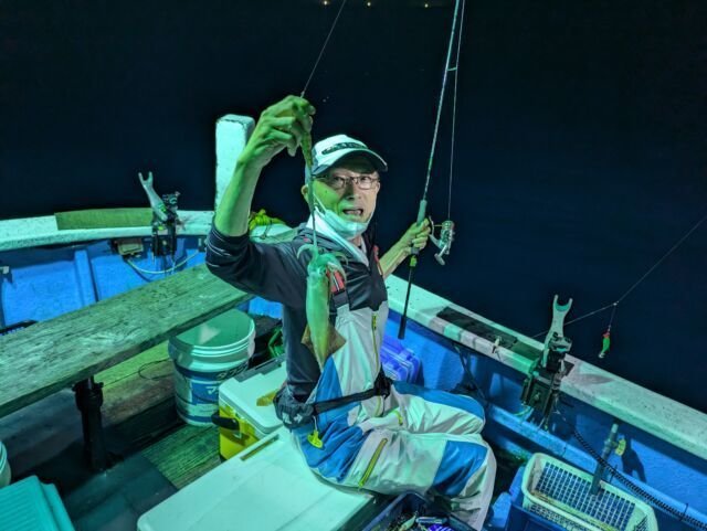 マイカ(ケンサキイカ)