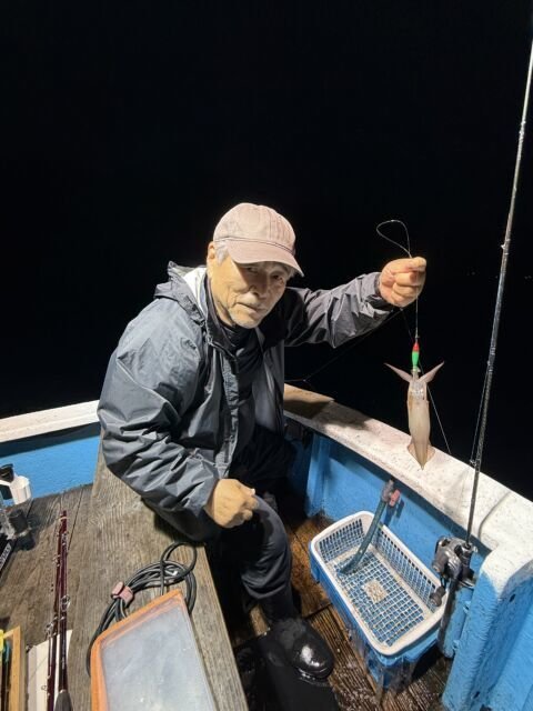 マイカ(ケンサキイカ)