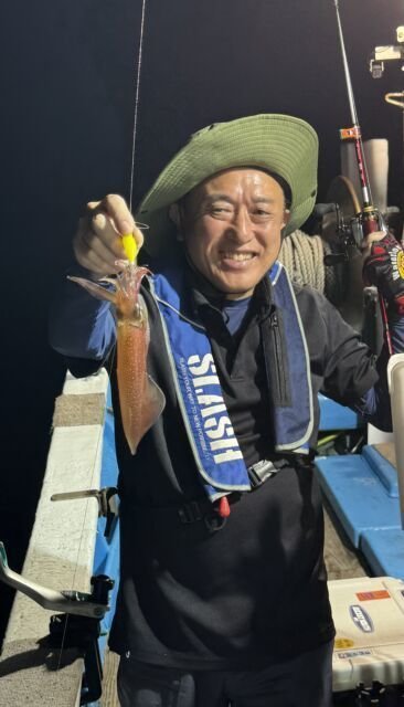 マイカ(ケンサキイカ)