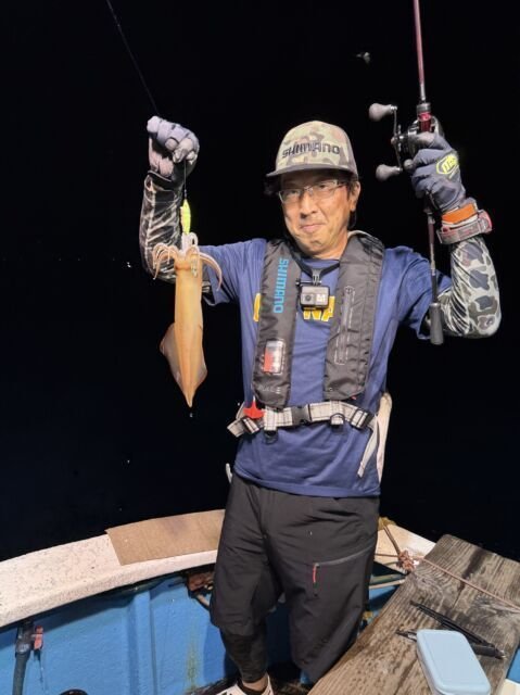 マイカ(ケンサキイカ)