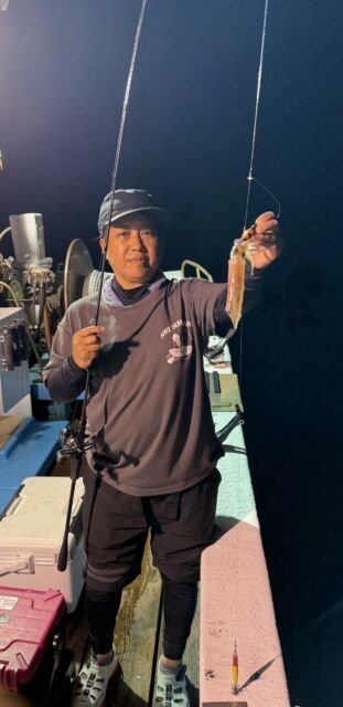 マイカ(ケンサキイカ)