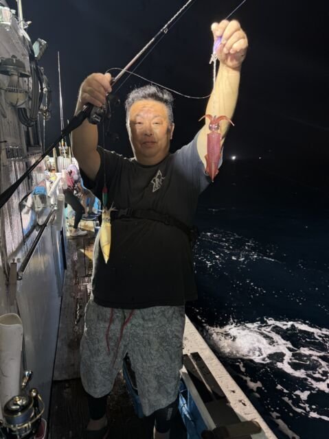 マイカ(ケンサキイカ)