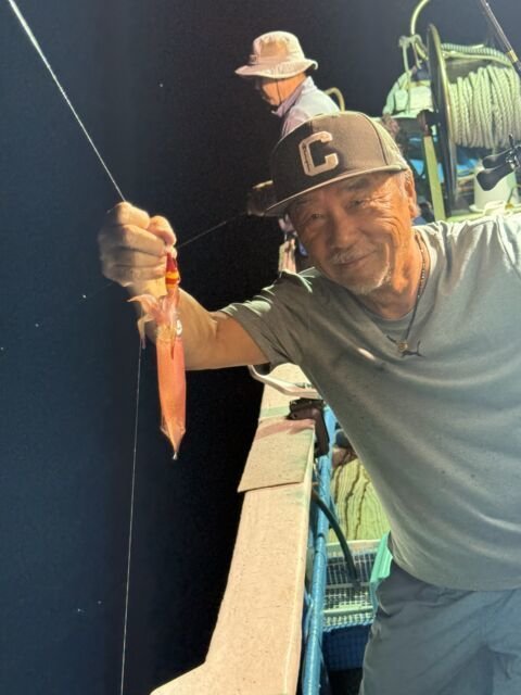 マイカ(ケンサキイカ)