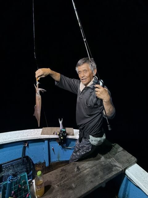 マイカ(ケンサキイカ)