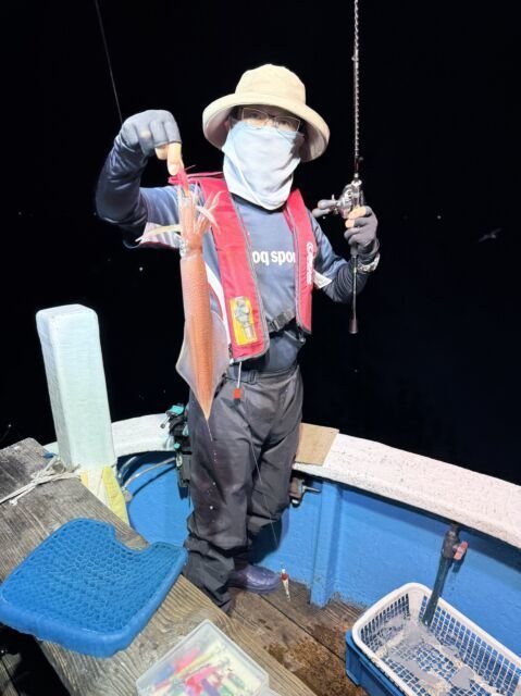 マイカ(ケンサキイカ)