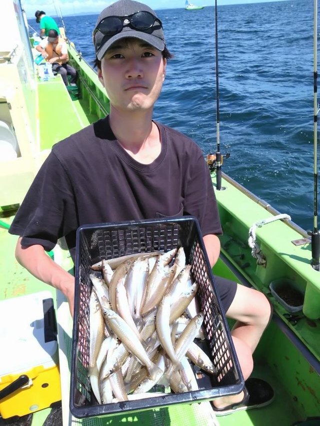 シロキス(シロギス)