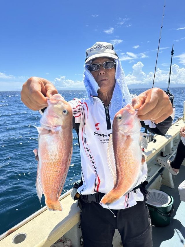 アマダイ(アカアマダイ)