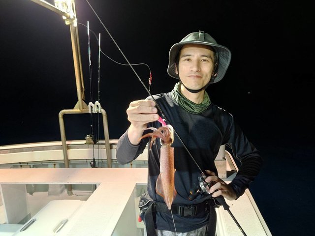 マイカ(ケンサキイカ)