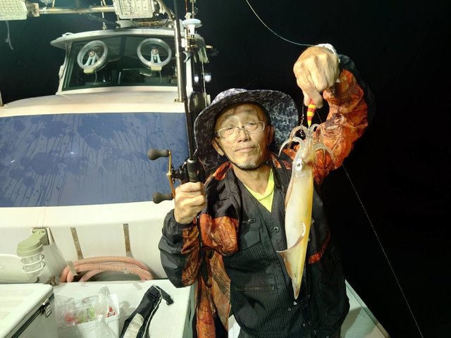 マイカ(ケンサキイカ)