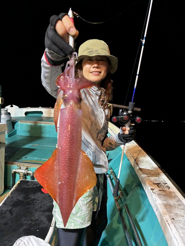 アカイカ(ケンサキイカ)