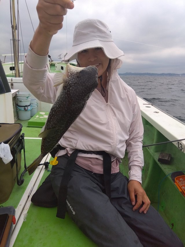 フグ(ショウサイフグ)