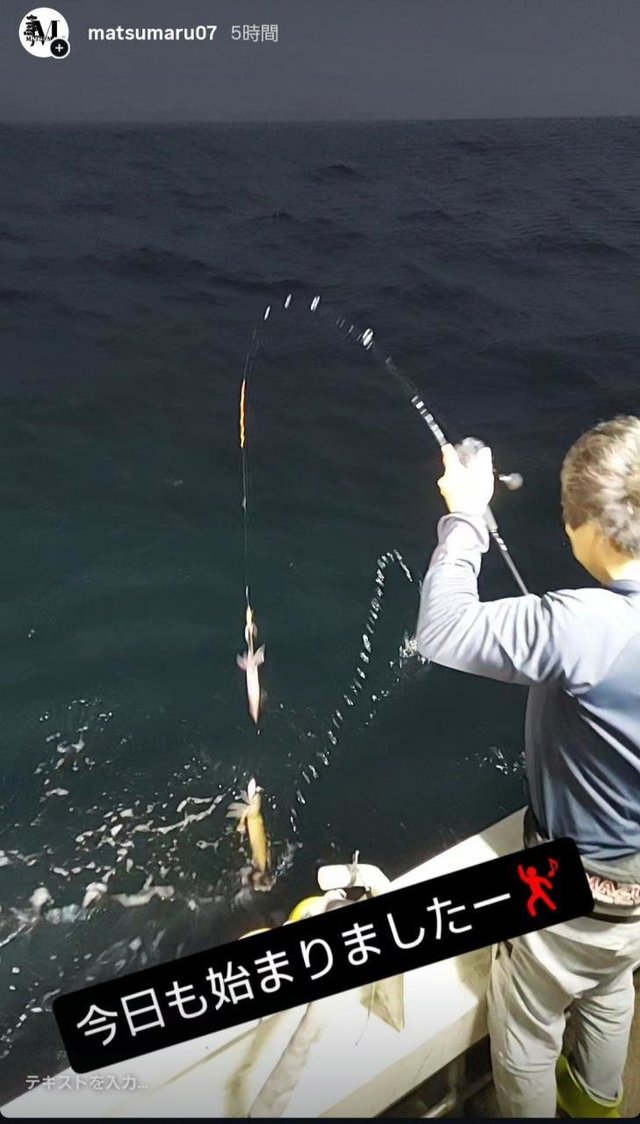 イカ(ヤリイカ)