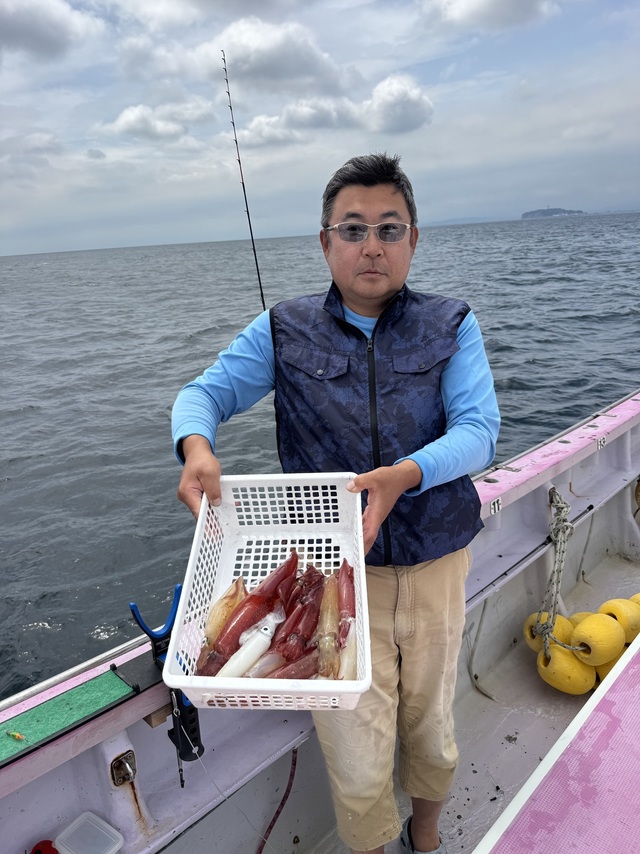 マルイカ(ケンサキイカ)