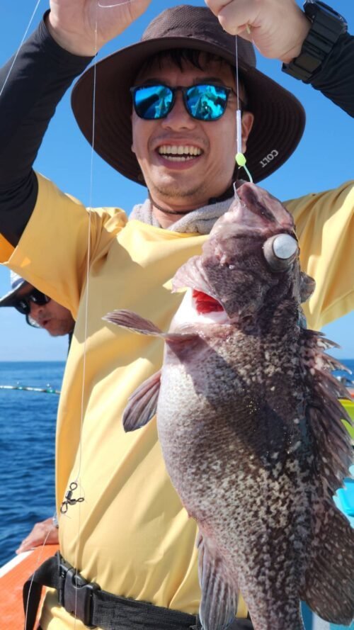 マゾイ(キツネメバル)