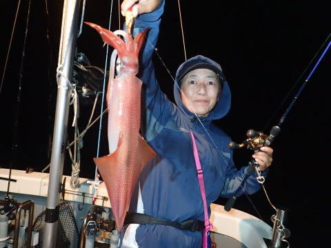 シロイカ(ケンサキイカ)