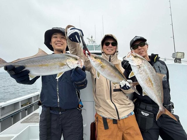 ショゴ(カンパチ)