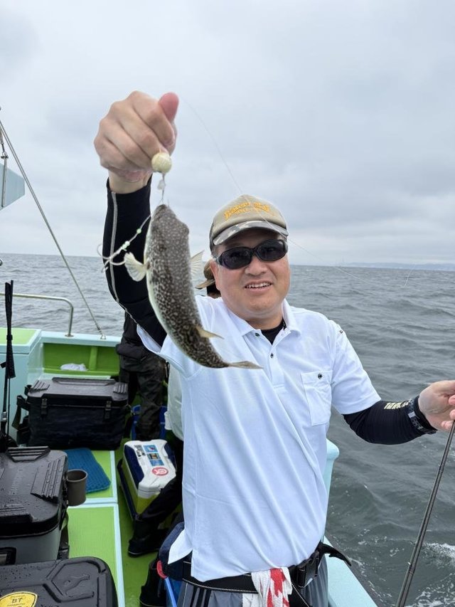 フグ(ショウサイフグ)