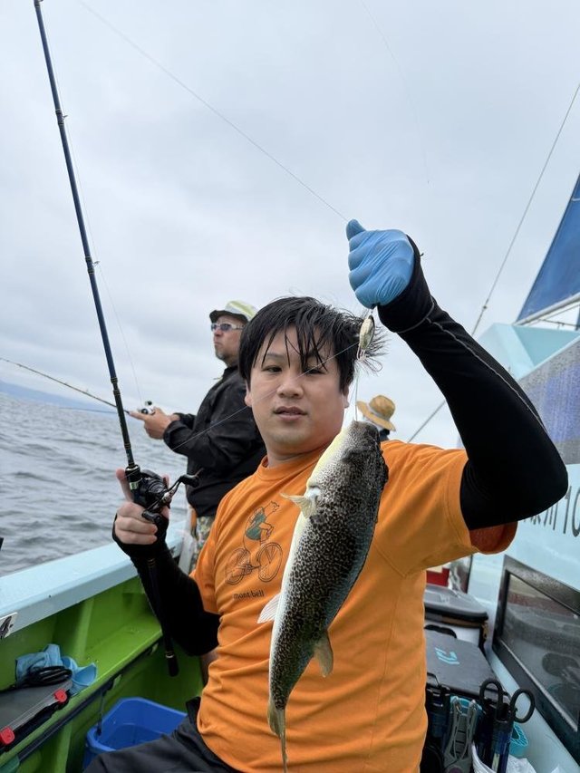 フグ(ショウサイフグ)