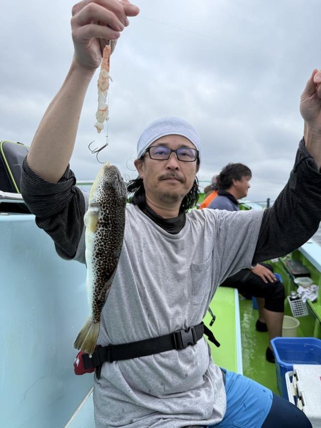 フグ(ショウサイフグ)