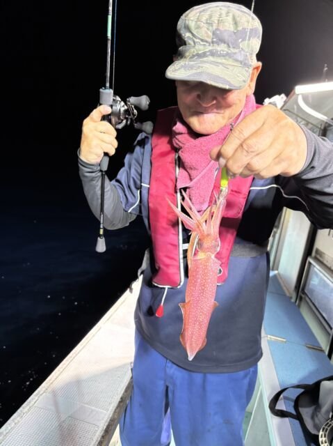 マイカ(ケンサキイカ)