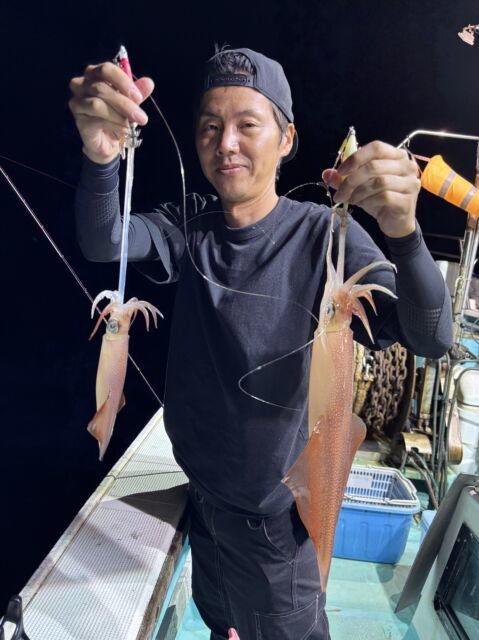 マイカ(ケンサキイカ)