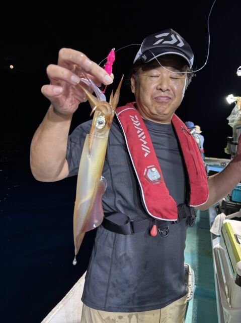 マイカ(ケンサキイカ)