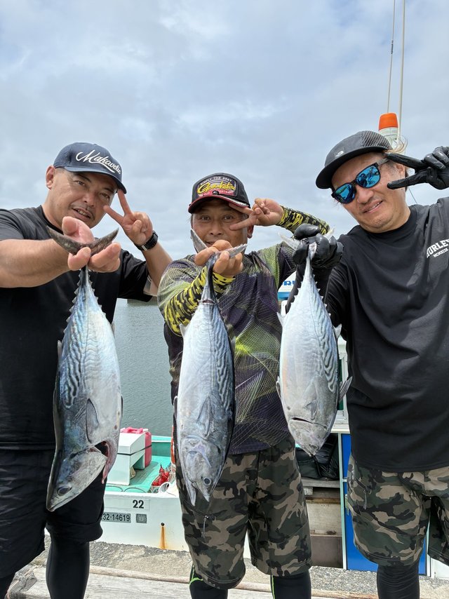 スマガツオ(スマ)