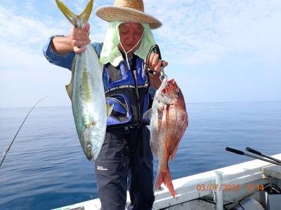 マダイ・ヒラマサ