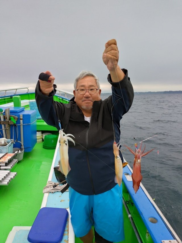 マルイカ(ケンサキイカ)