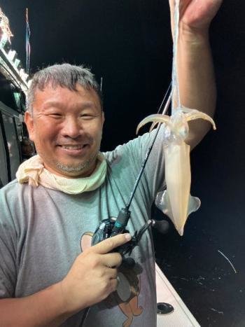 マイカ(ケンサキイカ)