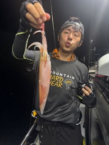 マイカ(ケンサキイカ)