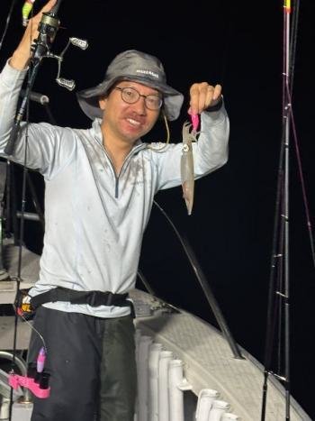 マイカ(ケンサキイカ)