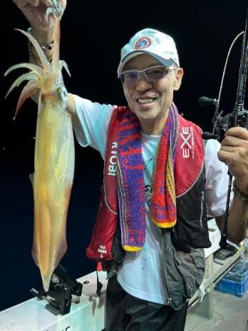 マイカ(ケンサキイカ)