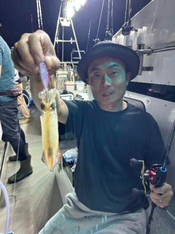 マイカ(ケンサキイカ)