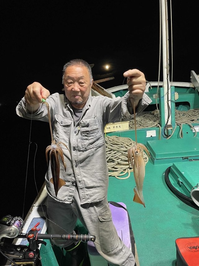 アカイカ(ケンサキイカ)