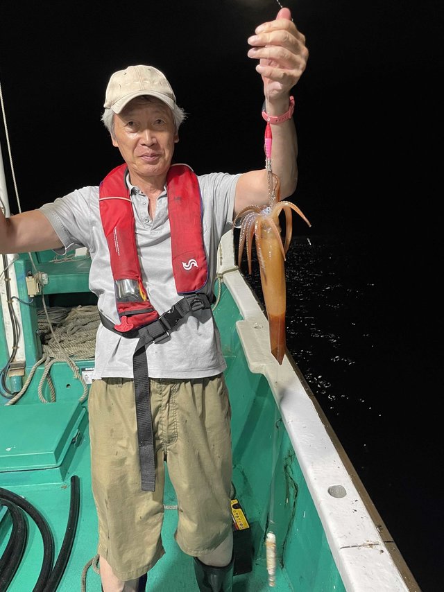 アカイカ(ケンサキイカ)