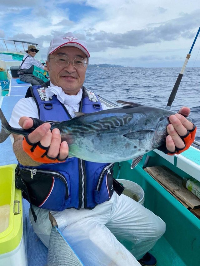 スマガツオ(スマ)