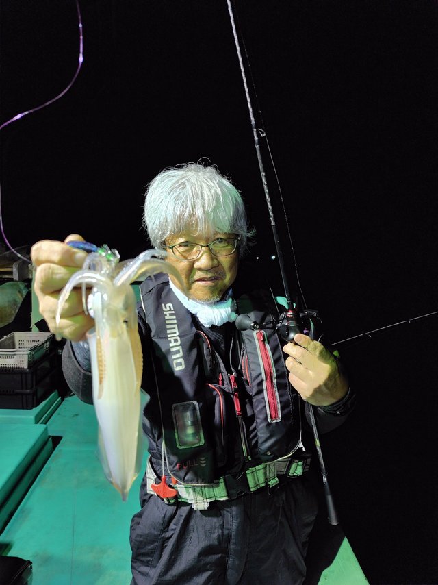 シロイカ(ケンサキイカ)