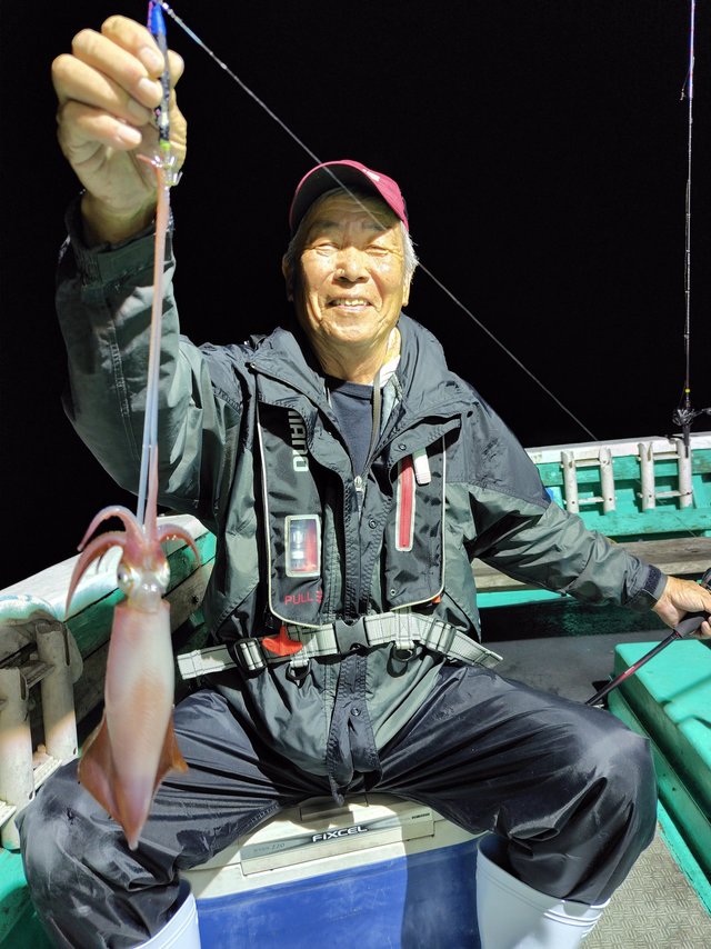 シロイカ(ケンサキイカ)