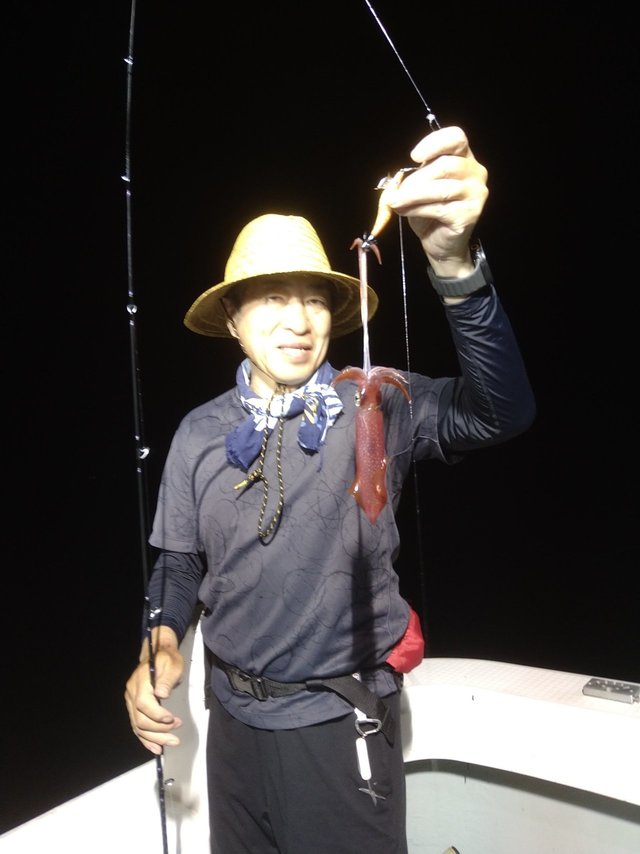 イカ(ケンサキイカ)