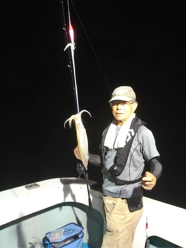 イカ(ケンサキイカ)