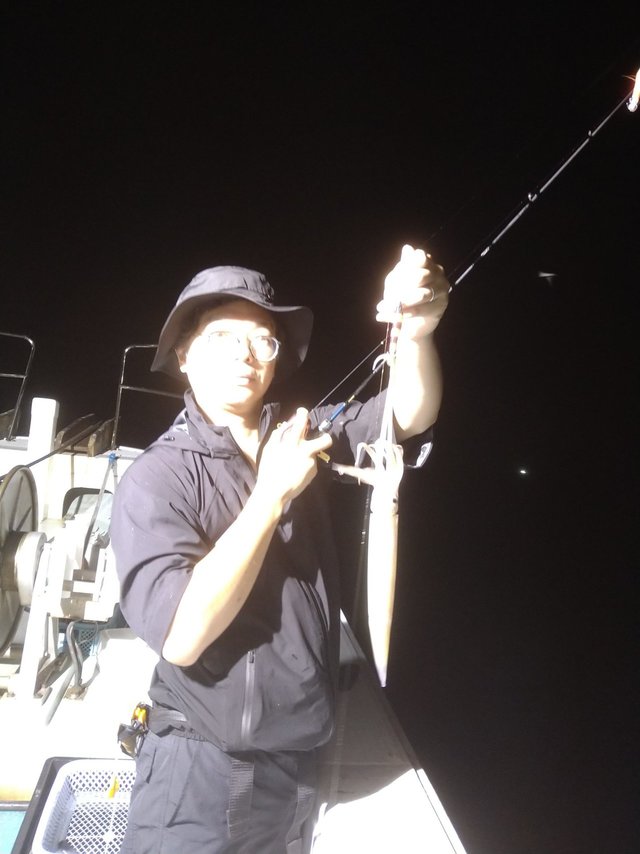 イカ(ケンサキイカ)