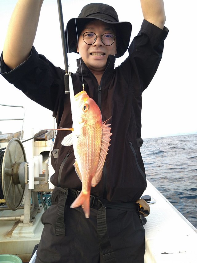 レンコ(キダイ)