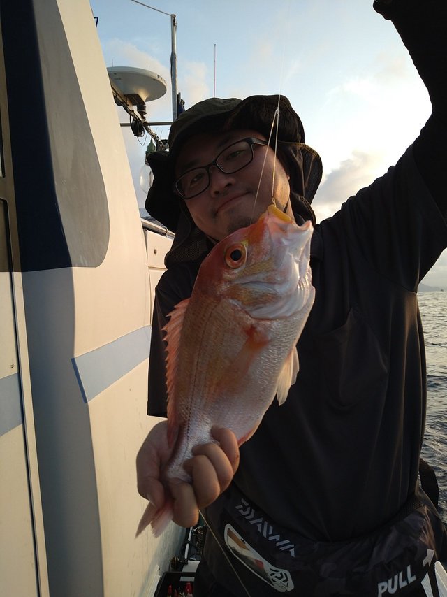 レンコ(キダイ)