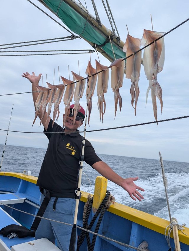 スルメ(スルメイカ)