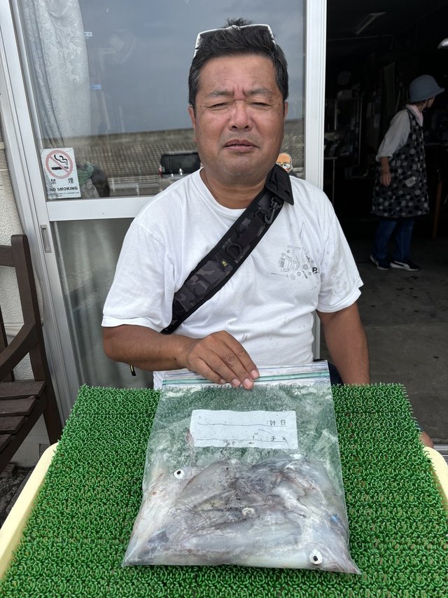 マルイカ(ケンサキイカ)