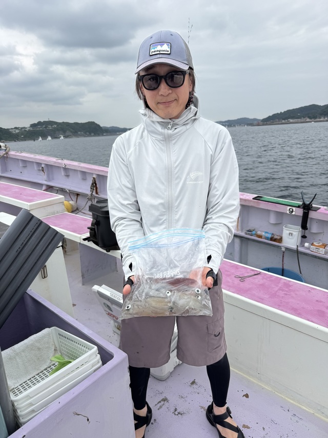 マルイカ(ケンサキイカ)