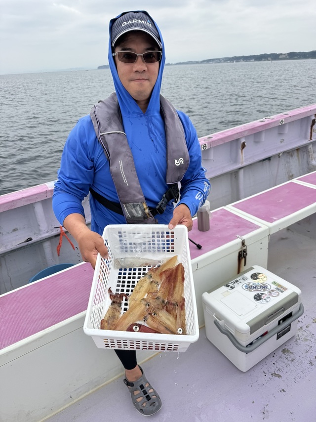 マルイカ(ケンサキイカ)