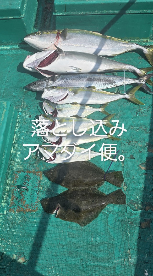 ブリ・サワラ・ヒラメ